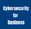 Cybersecurity for Business, an MTU and Cyber Skills workshop series starting Monday 13th February.