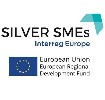 Hincks Centre Collaboration with Cork County Council Gains European Recognition as Part of SilverSME Project